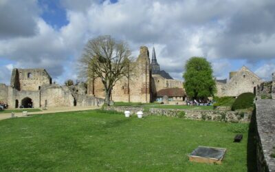 Les 5e de collège au Château de Sainte Suzanne !